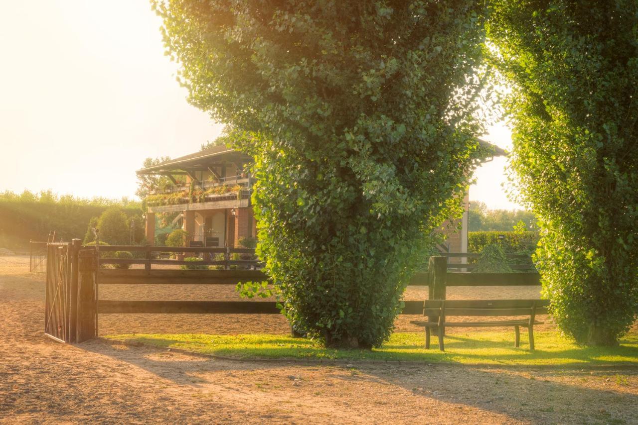 Agriturismo Maiocchi Villa Borgarello Ngoại thất bức ảnh